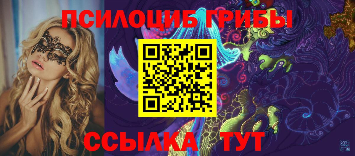 Псилоцибиновые грибы ЛСД  Вход с VPN  Псилоцибиновые грибы Cubensis  Чернушка 
